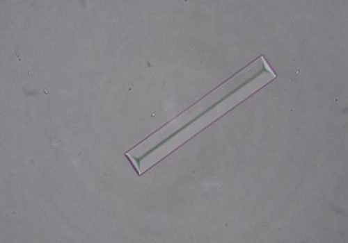 Fosfati tripli (Struvite) - 1000x